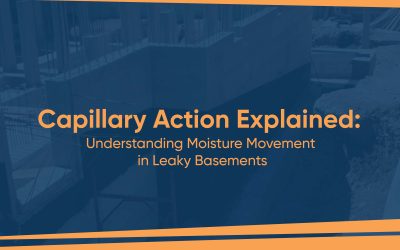 Capillary Action Explained: Understanding Moisture Movement in Leaky Basements